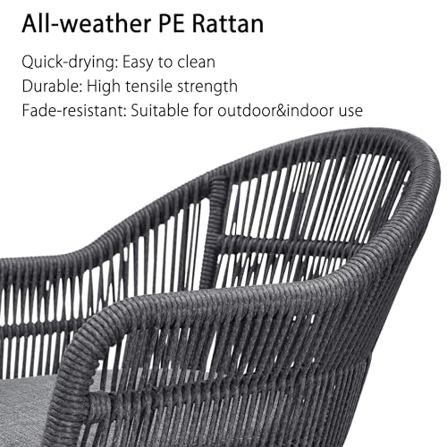 PURPLE LEAF 11 Pieces Patio Dining Set with Outdoor Aluminium Dining Table and Woven Rattan Chairs Modern Metal Furniture Cushions Sets for Garden Yard Indoor Decor Kitchen Grey