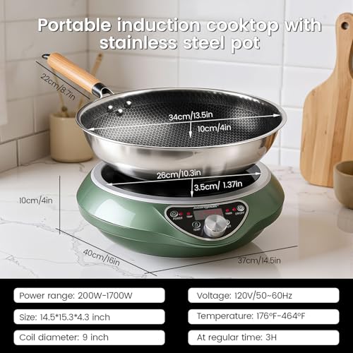 ABngdun Concave Induction Wok Cooktop, 1700W 120V Portable Induction Burner Electric Hot Plate (Cooktop with Stainless Steel Wok)
