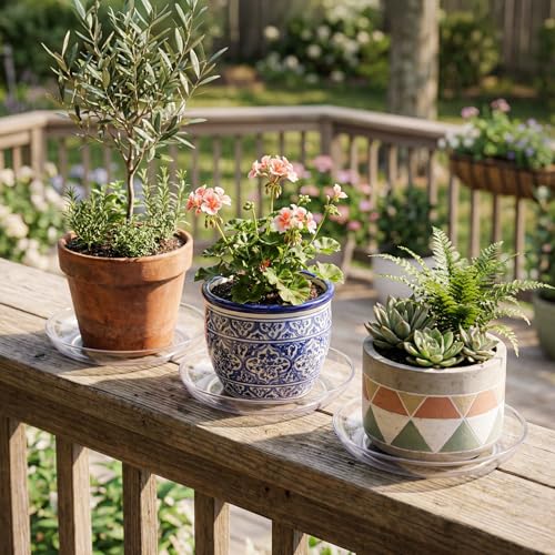 Royal Imports 9" Clear Plastic Saucer Plant Drip Tray, Low Pie Plate, Floral Flower Dish, Wedding, Party, Home and Holiday Decor, 6 Pack