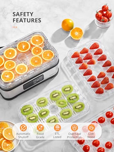 Reemix 5-Tier Compact Food Dehydrator - BPA-Free Trays, Stainless Steel Base, Touch Control LCD Display for Temperature/Time Adjustment, Home Use Dryer for Fruits, Veggies & Jerky