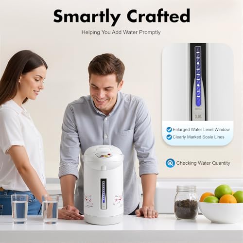 3L Electric Kettle, Hot Water Dispenser with 3 Water Dispensing Modes, 750W Fast Boil & Keep Warm, Stainless Steel Tabletop Countertop Pot for Home Kitchen Office
