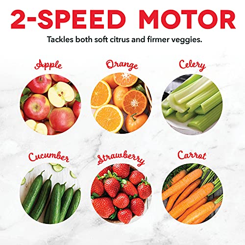 Dash Centrifugal Juicer Machine, 350W 2-Speed Electric Juice Extractor for Fruits and Vegetables, Easy to Clean Compact Juicing Machine with 2-Inch Feed Chute, BPA Free - Cool Gray