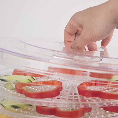 Westinghouse Food Dehydrator, Beef Jerky Maker, Food Preservation Device, Food Dehydration Machine, Dried Fruits and Vegetables Maker, Countertop Small Kitchen Appliance, WFD101W