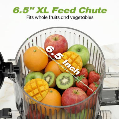 Juicer Machines with 6.5" Large Chute,3-in-1 Cold Press Juicer for Whole Vegetables Fruits 450W, Masticating juicer Easy to Clean Juice Extractor Machine for Making Nut Mike, (Premier Space Gray)