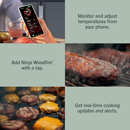 Ninja FlexFlame ProConnect Grill & Smoker | 5-in-1 Smart Cooking System | Electric & Propane | App-Connected | 3-Burner Digital Control | Roast, Griddle & Pizza Maker | Black/Gold | PG305