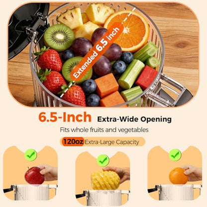 Juicer Machines with 6.5" Large Chute,4-in-1 Cold Press Juicer for Whole Vegetables Fruits,AC Motor,120oz Large Capacity, Makes Juice,Nut Milk & Sorbet,Premium Gray,Easy to Clean.(Advanced Space Gray)