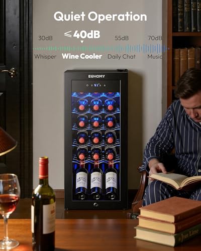 EUHOMY 18 bottle Wine Cooler Refrigerator, Wine Fridge with Lock, Black