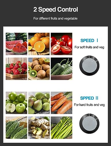 Juicer Machine, 800W Centrifugal Juicer Extractor with Wide Mouth for Fruit Vegetable, Easy to Clean, Stainless Steel, BPA-free (Black)