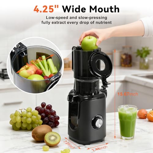 NEWBULIG Cold Press Juicer Machines, Masticating Juicer with High Juice Yield, Reverse Function, Stops Oxidation and Easy to Clean for Vegetables & Fruits, Black