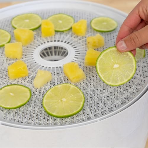 Nesco FD-61 Snackmaster Encore Food Dehydrator for Great Jerky and Snacks, 4 Trays, Gray