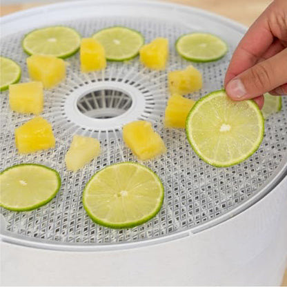 Nesco FD-61 Snackmaster Encore Food Dehydrator for Great Jerky and Snacks, 4 Trays, Gray