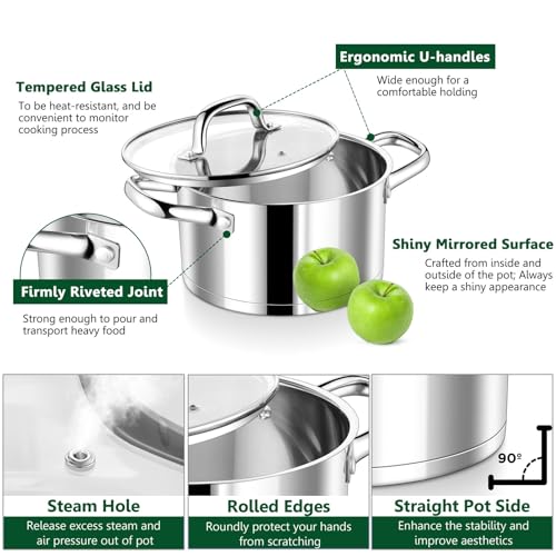 P&P CHEF 8 Quarts Cooking Stock Pot with Lid, Stainless Steel Stockpot Induction Pot for Soup, Tri-Ply Bottom & Clear Glass Lid & Double Handle, Dishwasher Safe