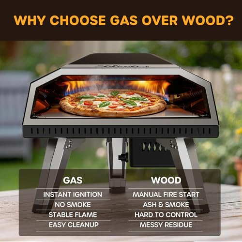 ECOWELL 12 inch Gas Pizza Oven Outdoor Propane, Portable Pizza Oven with Stone, Stainless Steel Pizza Oven Indoor & Outdoor for Camping Backyard Party, Ignition Built-in, 12 min Fast Heating
