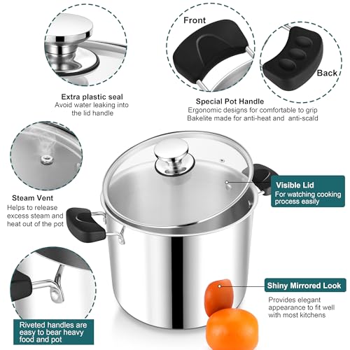 10 Quart 3-Ply Cooking Stock Pot with Lid, P&P CHEF Stainless Steel Large Pot for Pasta Soup, Work on Multi Stove, Heavy Duty & Dishwasher Safe, Dual Heat-resistant Handles & Transparent Glass Lid