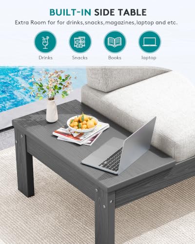SERWALL HDPE Outdoor Loveseat Sofa, 2 Seats Patio Sofa, All-Weather Patio Conversation Sets with Adjustable Backrest Sofa for Backyard and Garden, Grey Frame with Beige Cushion