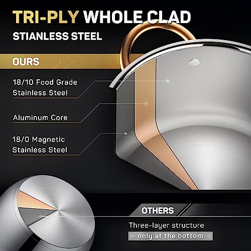 Ciwete Stock Pot 12 Quart, 18/10 Tri-Ply Stainless Steel Whole Clad Stock Pot with Lid, Seamless 12 QT Cooking Pot with Copper Handle, Healthy Stockpots, Induction, Gas, Oven and Dishwasher Safe