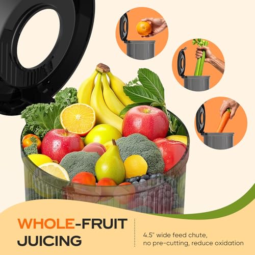 Juicer Machines, Cold Press Juicer for Leafy Greens, Fruits & Vegetables, 150W Slow Masticating Juicers, High Juice Yield, Easy to Clean