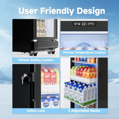 ICEVIVAL 6 Cu.Ft Commercial Refrigerators, Display Fridge with Double-Tempered Glass Door, Beverage Cooler for Bar, Office, Restaurant, Outdoor Beverage Refrigerator with Locking, Key & LED