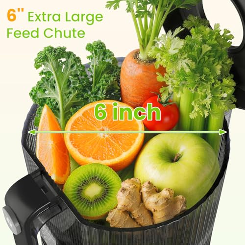 Puraflows Auramist Cold Press Juicer Machine, Juicers for Vegetable & Fruit