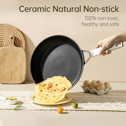 MsMk 7 inch Small Egg Nonstick Frying Pan with Lid, Eggs Omelette Burnt also Non stick, Scratch-resistant, Induction Skillet, Oven Safe to 700°F Pan for Cooking, Dishwasher Safe