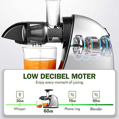 AMZCHEF Cold Press Masticating Juicer Machine - 90% Yield Reverse System, Quiet Motor for Home & Breakfast, 3-Step Clean with Brush, Includes 50+ Juice Recipes, Silver Grey