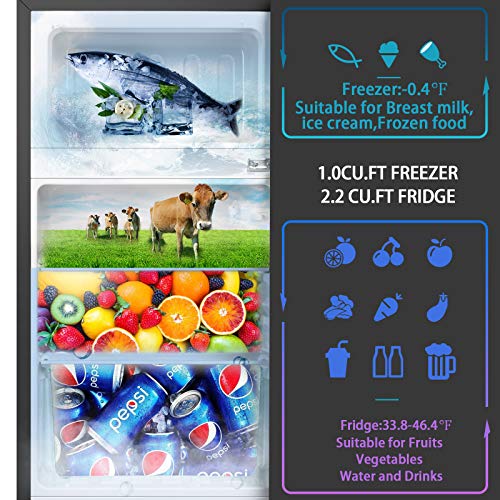 HAILANG 3.2 Cu.Ft Mini Fridge with Freezer, 2 Door Mini Refrigerator,Sliver