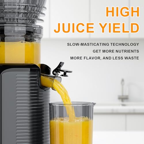 KIAMITH 300W Cold Press Juicer with 5.8" Extra-Large Feed Chute, Slow Masticating Juicer Machines for Fruits and Vegetables, High Juice Yield, Easy to Clean, Family Use, BPA Free (Black & Grey)