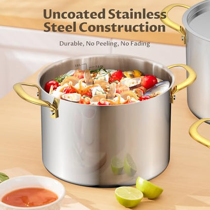 BEZIA 6 Quart Stainless Steel Stock Pot, 0-Coating Healthy Soup Pot for Small Families, Tri-ply Even Heat for Daily Cooking & Side Dishes, Compatible with All Stovetops