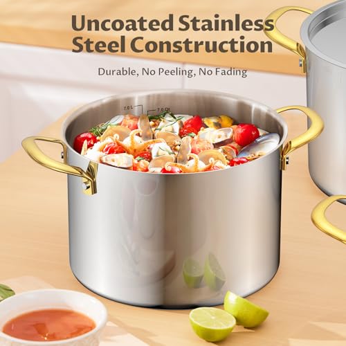 BEZIA 12 Quart Stainless Steel Stock Pot with Lid, 0-Coating Large Soup Pot for Family Gatherings, Tri-ply Even Heat for Holiday Feasts, Batch Cooking & Canning