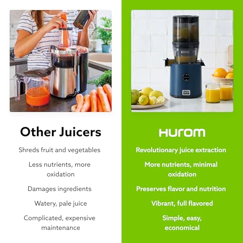 Hurom H330 Cold Press Juicer Machine — Charcoal — Self-Feeding Masticating Slow Juicer for Whole Fruits & Vegetables, Quiet Motor, BPA-Free, Easy Clean, Eco-Friendly, 15-Year Warranty, Made in Korea