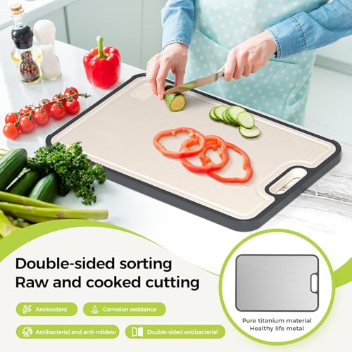 Titanium Cutting Board for Kitchen, Double Sided Chopping Board, 99.9% Pure Titanium & PP, Non-Porous, Odor Resistant, Safe for Raw & Cooked Food, Easy to Clean, Large 15”×10.3”