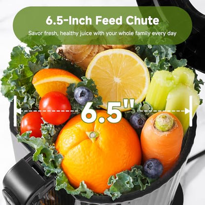 Cold Press Juicer, 6.5" Wide Feed Chute Slow Masticating Juicer Extractor for Whole Fruits & Vegetables, High Juice Yield, Quiet Motor, Easy Clean for Plant-Based Diet