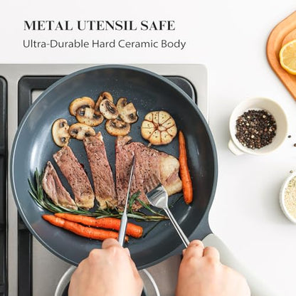 PRICUSIS Nonstick Ceramic Frying Pan with Lid, Non Toxic Skillet, Healthy Egg & Omelet & Chef's Skillet, PTFE PFOA & PFAS Free, Induction Compatible. (10Inch W/L)