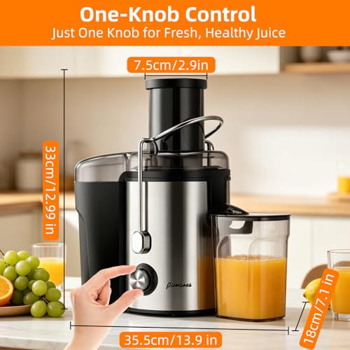 Panana Centrifugal Juicer Extractor with Wide Mouth 2.5” Feed Chute for Fruit Vegetable, Easy to Clean, Stainless Steel, BPA-free (Silver)