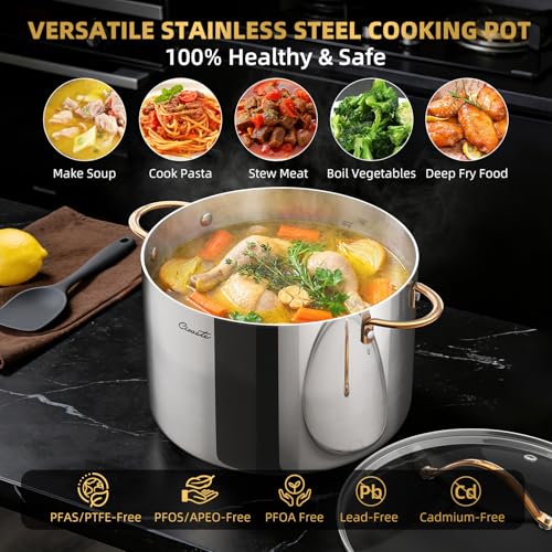 Ciwete 12 Quart Stock Pot with Lid, Upgraded Tri-Ply Stainless Steel Pot, Seamless Large Cooking Pot with Stay-Cool Brass Handle, Healthy Polished Stockpots, Induction Cookware, Oven & Dishwasher Safe