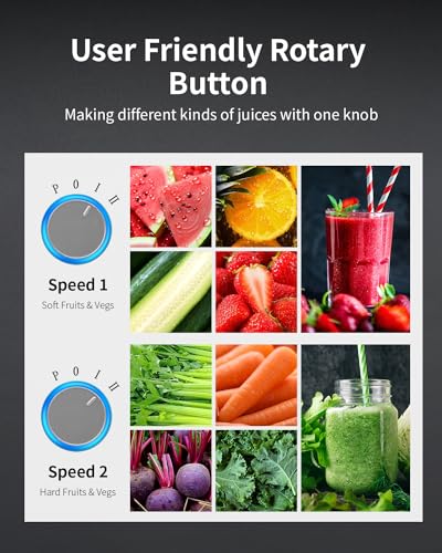 GDOR 1200W Juicer Machines with Larger 3.2" Feed Chute, 45oz Large Juice Jug, Centrifugal Juice Extractor Maker with Titanium Enhanced Cutting System, Dual Speeds, BPA-Free, Grey
