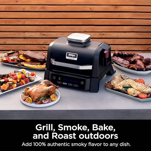 Ninja Woodfire Outdoor Grill & Smoker, 4-in-1 Functionality, Grill, Smoke, Bake, Roast, Authentic Woodfire Flavors, Electric Heat, OG301