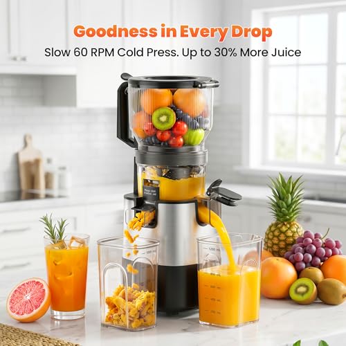 TechRise 3-in-1 Cold Press Juicer with 6" Wide Feed Chute, Slow Masticating Juicer Machine for Whole Fruits & Vegetables, Makes Juice, Fruit Sorbet & Nut Milk, Easy to Clean, BPA-Free, Space Silver