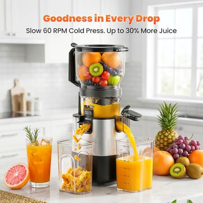TechRise 3-in-1 Cold Press Juicer with 6" Wide Feed Chute, Slow Masticating Juicer Machine for Whole Fruits & Vegetables, Makes Juice, Fruit Sorbet & Nut Milk, Easy to Clean, BPA-Free, Space Silver