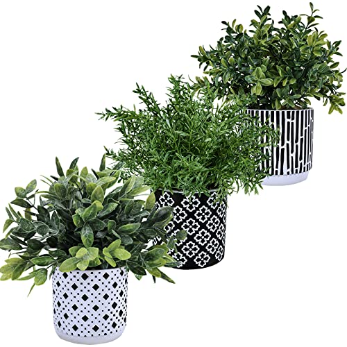 Winlyn 3-Pack Artificial Potted Plants - Faux Eucalyptus, Rosemary, Boxwood Greenery in Small Black & White Geometric Concrete Pots -Desk, Table, Shelf, Windowsill Decor for Indoor Outdoor Home Office