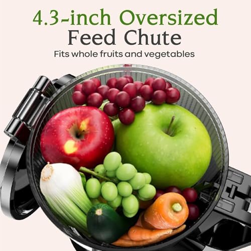 Anybear Cold Press Juicer 200W Masticating Slow Juicer 4.3" Large Feed Chute Fit Whole Fruits Vegetables | Upgraded Auger | Tritan Material | BPA Free | Juice Recipes (Silver Gray)