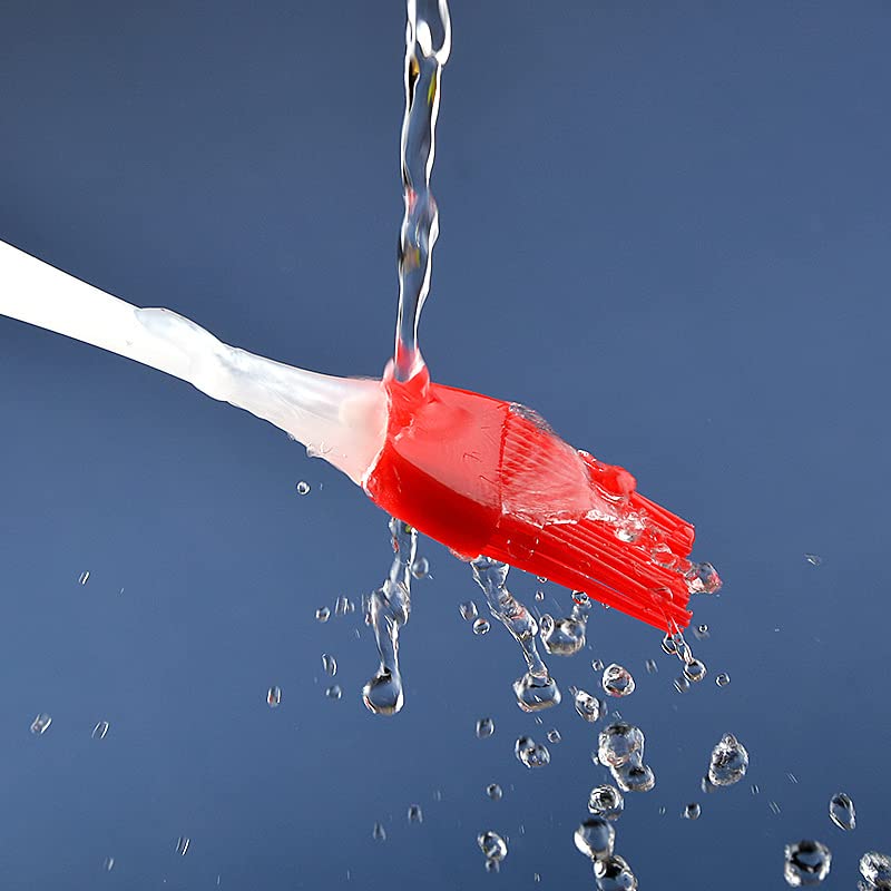 Meat Injector Kit, Plastic Marinade Turkey Injector Syringe with Screw-on Meat Needle for BBQ Grill,1-oz,with 2 Professional Needles,1 Cleaning Brush,3 Extra O-Rings,1 Brush For Basting