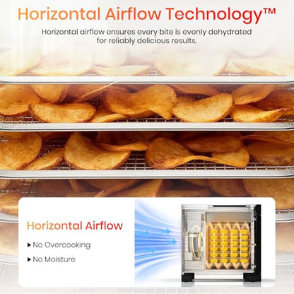 Food Dehydrator Machine, 6 Stainless Steel Trays, 400W Fruit Dehydrator with Visible Skylight, 195°F&24H Meat Dehydrator for Jerky, Pet Treats, Herbs, Fruit and Yogurt, Silver
