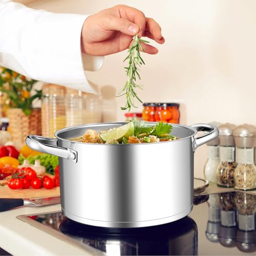 Leonyo 6QT Stock Pot with Lid, Stainless Steel Soup Pasta Pot for Home Kitchen Restaurant, Tri-Ply Bottom Stockpot for Canning, Boiling, Simmer, Dishwasher Safe