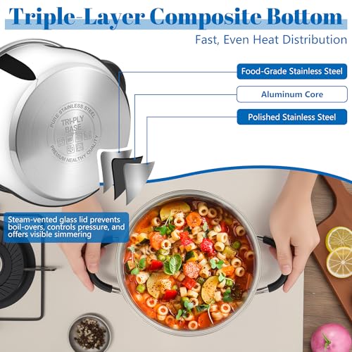 E-far Stainless Steel Stock Pot, 8 Quart Large Cooking Pot with Glass Lid for Boiling Pasta Soup Sauce, Tri-Ply Induction Thick Base for All Stoves, Cool-Touch Handles & Dishwasher Safe