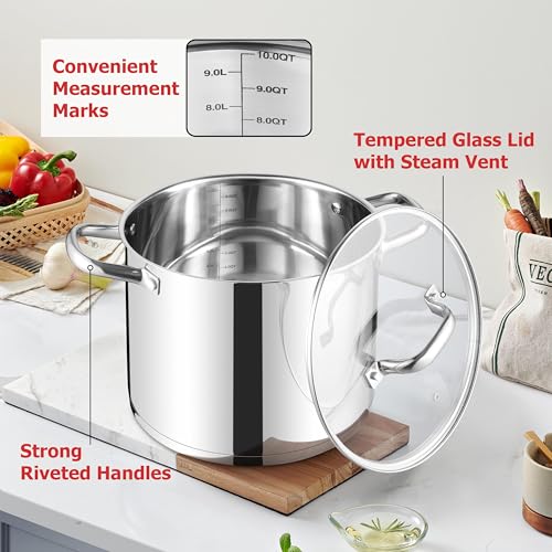LIANYU 10 Quart Pot with Lid, 10 QT Tri-ply Stainless Steel Stockpot, Heavy Duty Deep Canning Soup Cooking Pot for Gas, Electric, Stoves, Induction, Riveted Handles, Dishwasher Safe