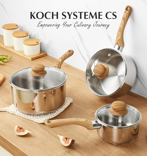 KOCH SYSTEME CS Stainless Steel Saucepan, 1 Quart Stainless Steel Pot with 5-Layer Stainless Base, Sauce Pan with Lid & Stay-Cool Handle, Small Pot 1 Quart, Induction Compatible