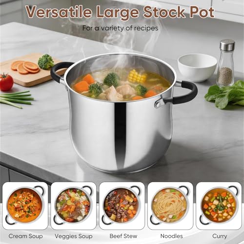P&P CHEF Stainless Steel Stock Pot, 12 Qt Cooking Soup Pot with Visible Lid for Pasta, Tri-Ply Bottom & Dual Heatproof Handles, For Induction Gas All Stoves, Non-Toxic & Dishwasher Safe