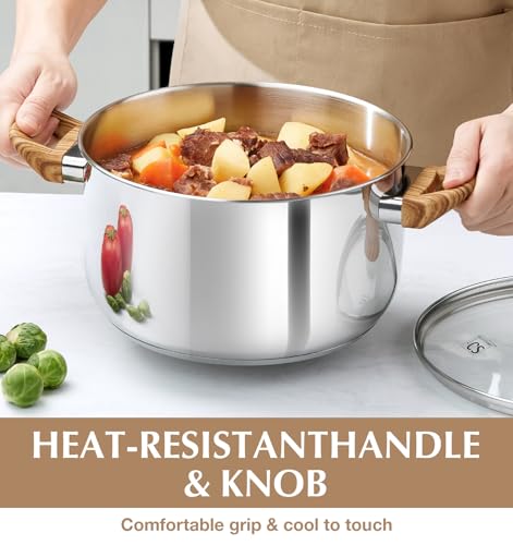 KOCH SYSTEME CS Stainless Steel Pot - 6 Quart Induction Stainless Steel Stock Pot with Lid for Pasta, Soup, Spaghetti, Steel Soup pots with Heat-Resistant Bakelite Double Handle, Dishwasher Safe