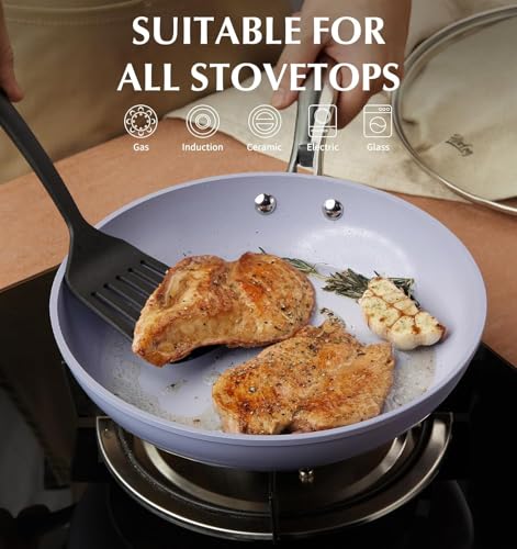 KOCH SYSTEME CS 14 Inch Frying Pan with Lid, Large Skillet with Lid, Extra Large Fry Pan for Family & Commercial Use, Oven Safe, 14 Inch Skillet Lids, Induction Compatible, Purple